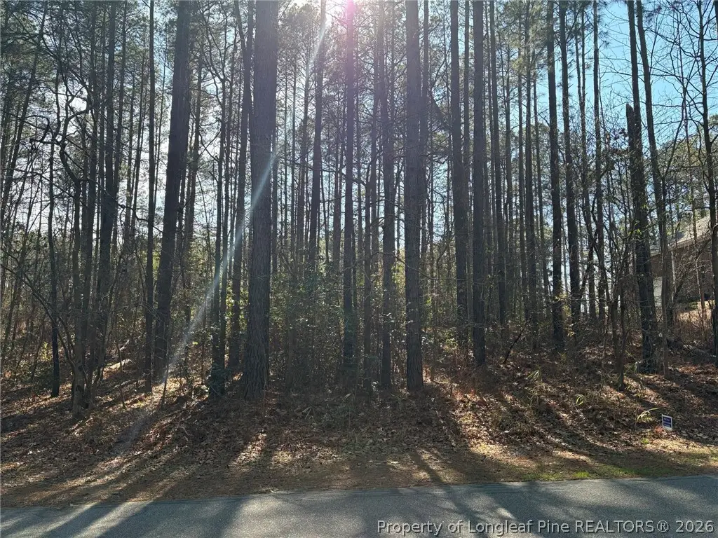 Lot 7 Lakeshore Drive, Wagram, NC 28396 - #1