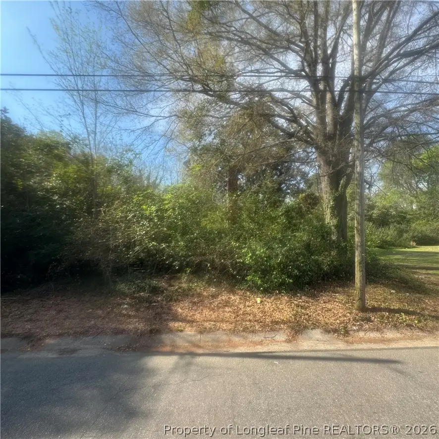 228 Gulf Street, Laurinburg, NC 28352 - #1