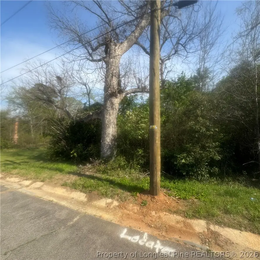 228 Gulf Street, Laurinburg, NC 28352 - #2