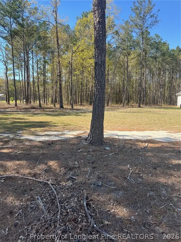 4401 E Huckleberry Drive, Eastover, NC 28312