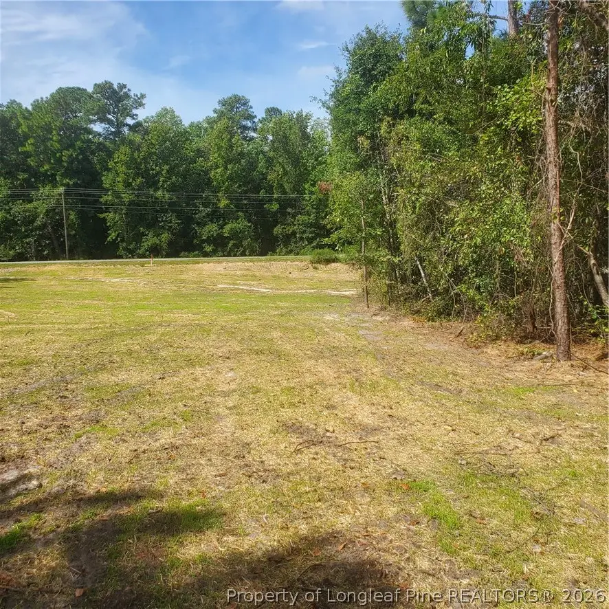 TBD Rockfish Road, Raeford, NC 28376 - #1