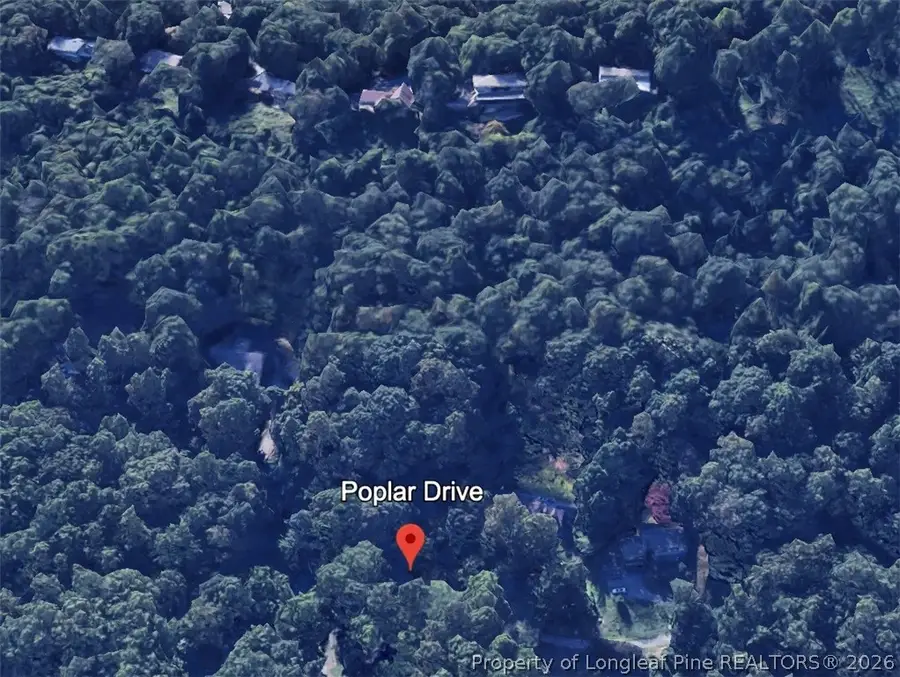 0 Poplar Drive, Mills River, NC 28759 - #2