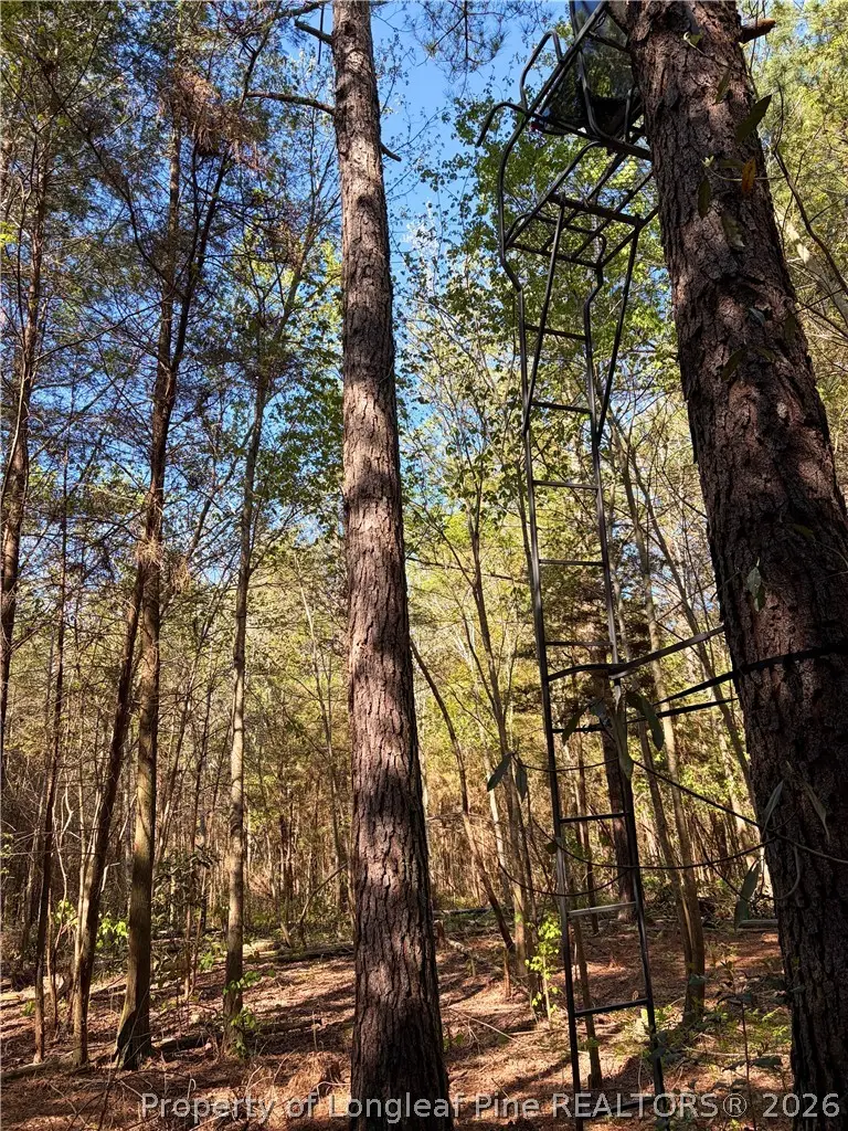 Clark Road, Maxton, NC 28364 - #3