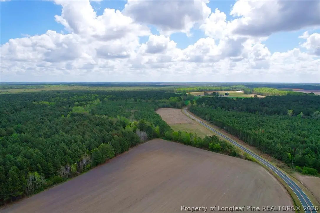 3331 Bogie Island Road, Fayetteville, NC 28312 - #1