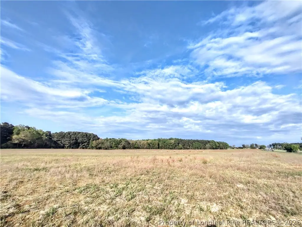 0 Tramway Rd / Hwy 78, Sanford, NC 27330 - #1
