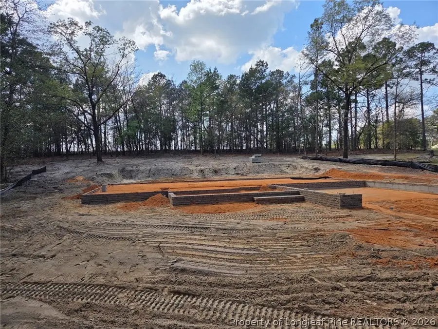 308 Chestnut Drive, Vass, NC 28394 - #2