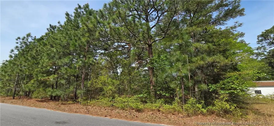 624 Cressida Drive, Fayetteville, NC 28311 - #2