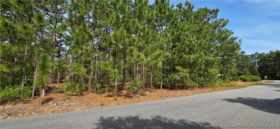 624 Cressida Drive, Fayetteville, NC 28311 - #3