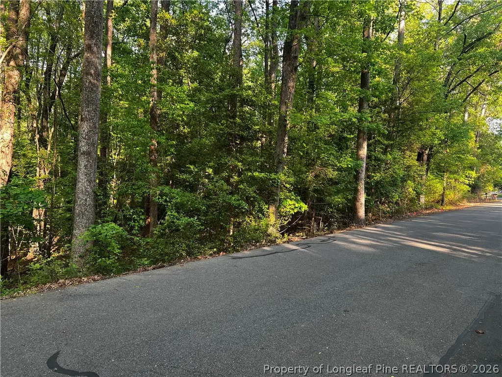 1009 Windrace Trail, Sanford, NC 27332 - #1