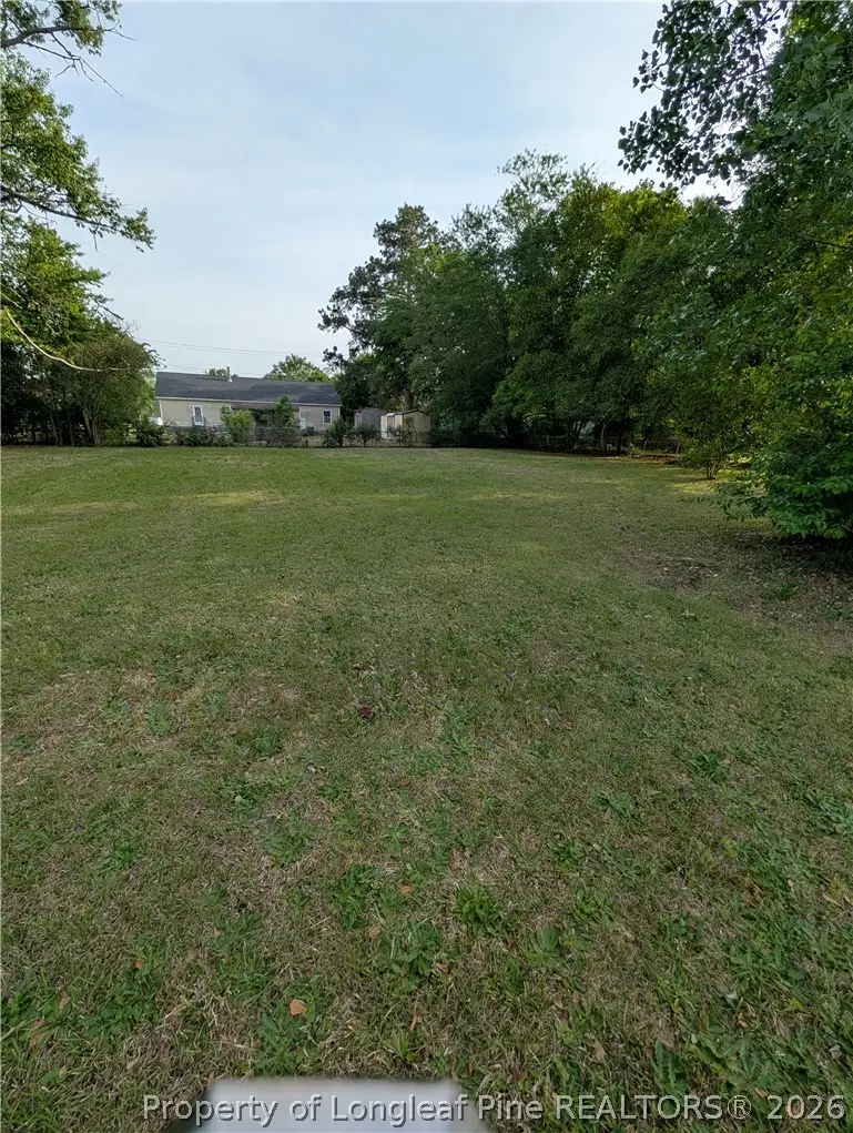 705 Peele Street, Laurinburg, NC 28352 - #2