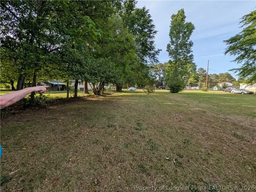 705 Peele Street, Laurinburg, NC 28352 - #3