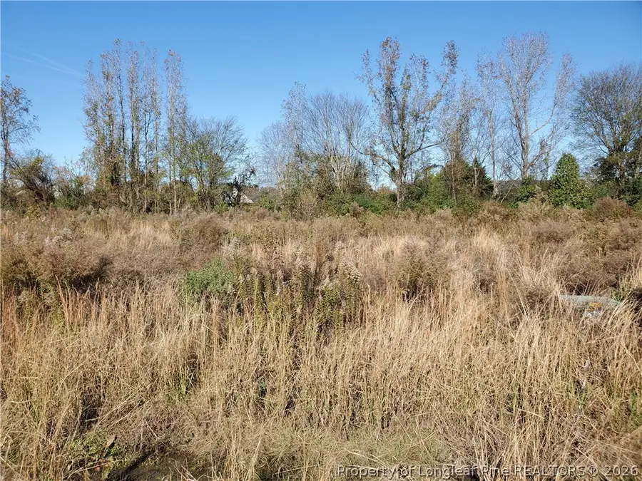 280, 300, 320, 340, 360 Hidalgo Drive, Raeford, NC 28376 - #3