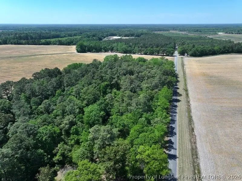 TBD N Duffie Road, Red Springs, NC 28377 - #2