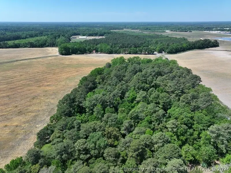 TBD N Duffie Road, Red Springs, NC 28377 - #3