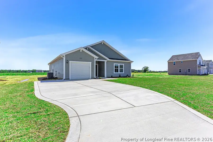 2203 Nahunta Road, Pikeville, NC 27863 - #2