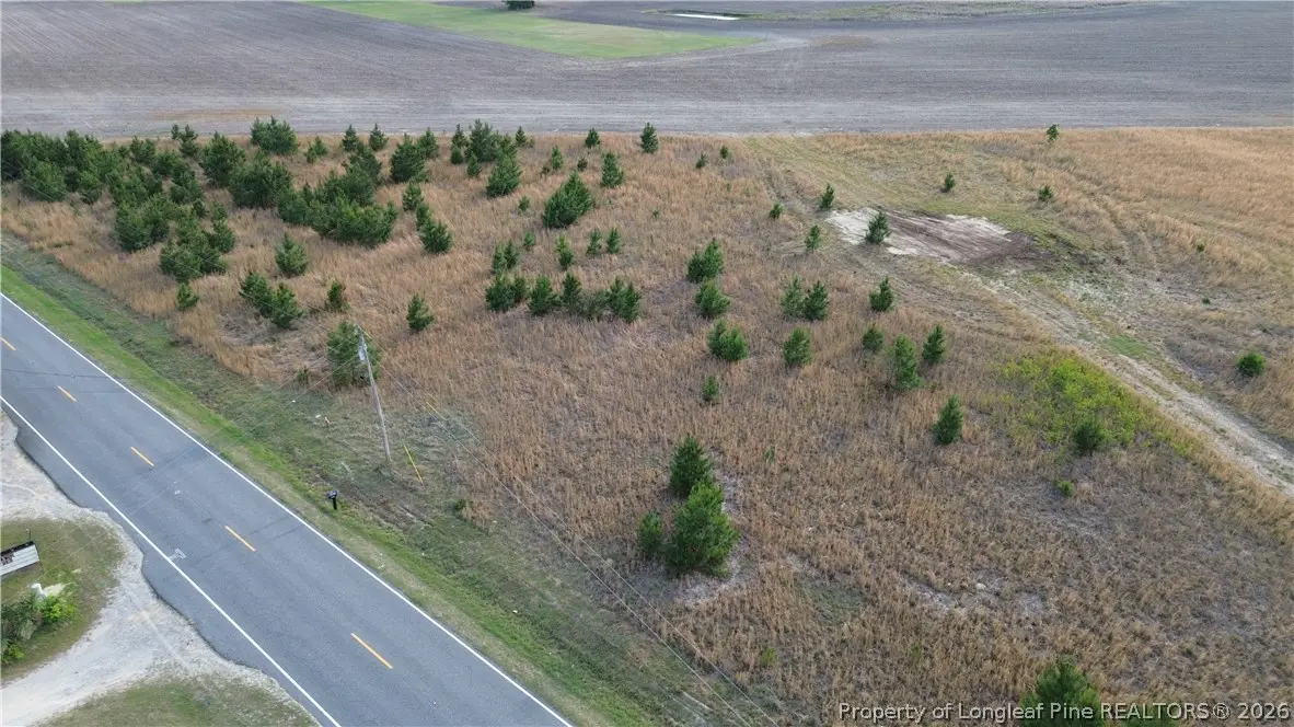 Lot 4 Fairley Road, Maxton, NC 28364 - #1