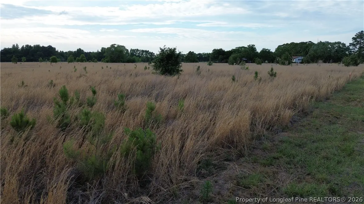 Lot 5 Fairley Road, Maxton, NC 28364 - #1