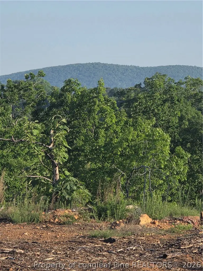 000 Skeen View Road, Asheboro, NC 27205 - #2