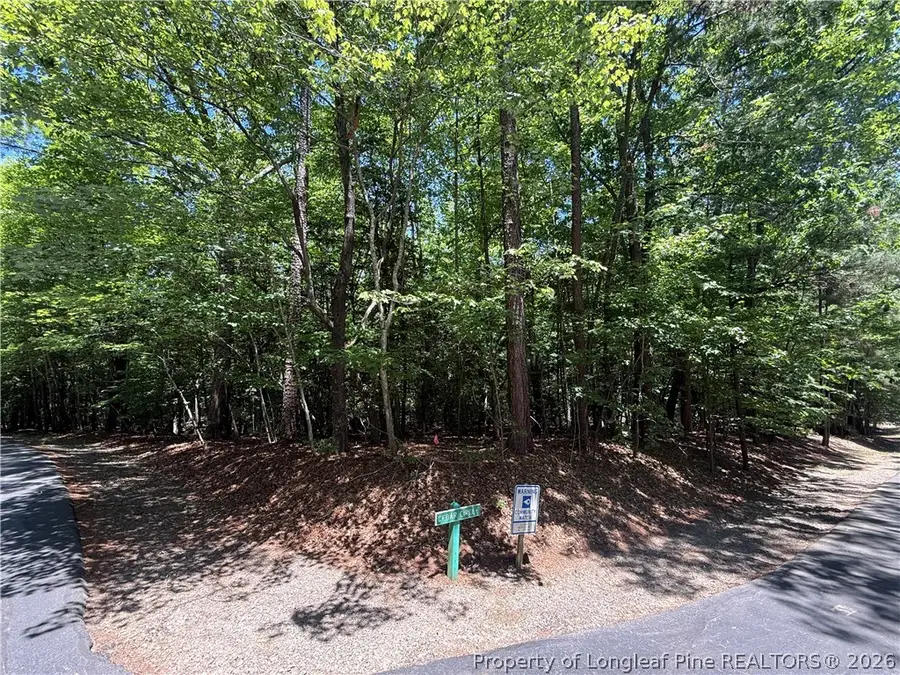 2056 Long Point Trail, Sanford, NC 27332 - #2