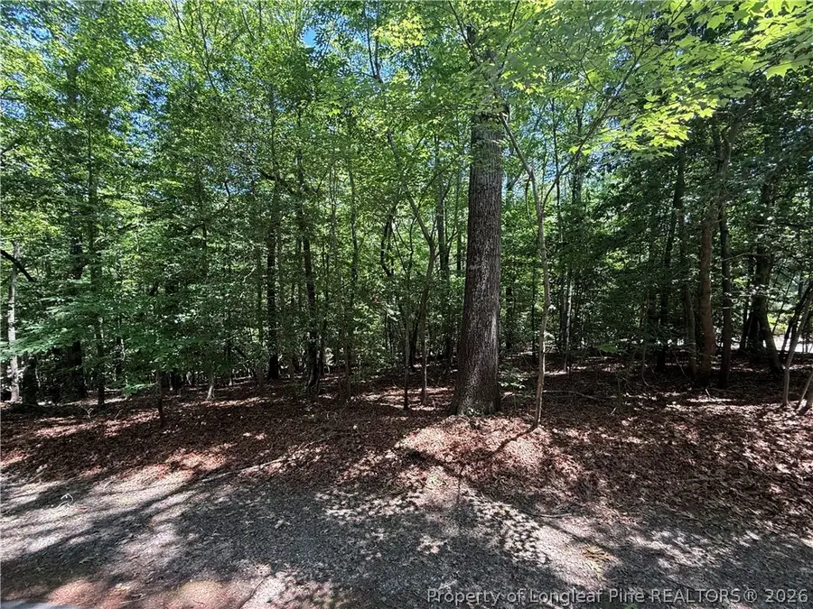 2056 Long Point Trail, Sanford, NC 27332 - #3