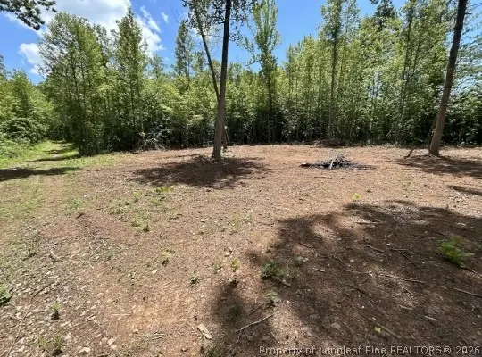 Pointe Mayo Drive, Roxboro, NC 27574 - #2