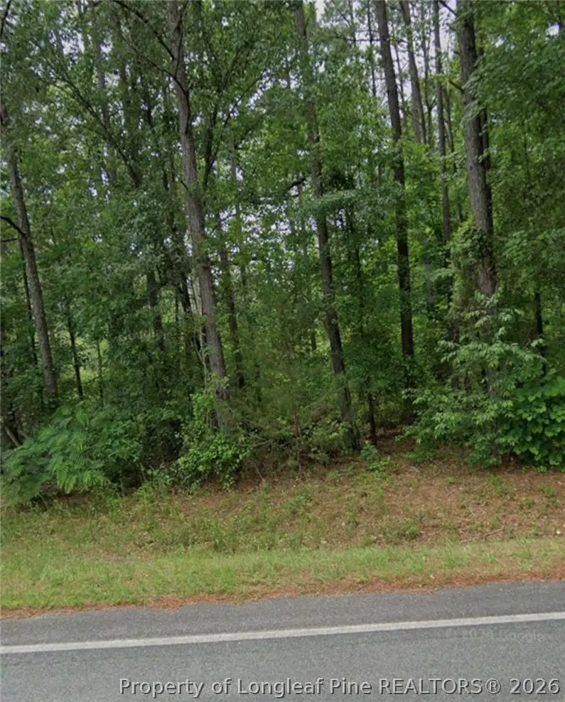 South Plank Road, Sanford, NC 27330 - #1