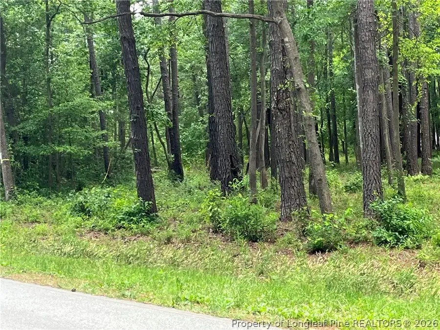 0 Bryant Circle, Maxton, NC 28364 - #3