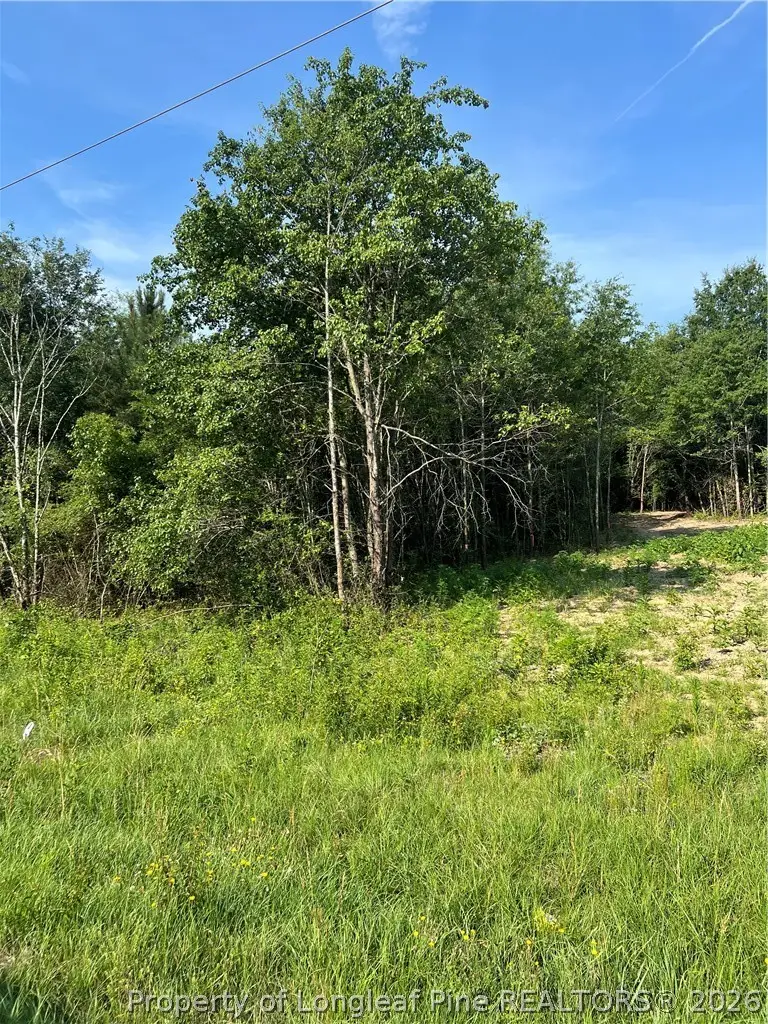 0 Produce Market Rd Road, Laurinburg, NC 28352 - #2