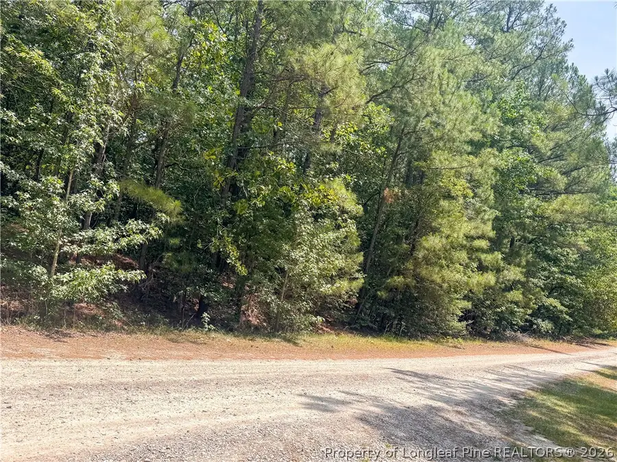 1001 Sorrel Drive, Vass, NC 28394 - #3
