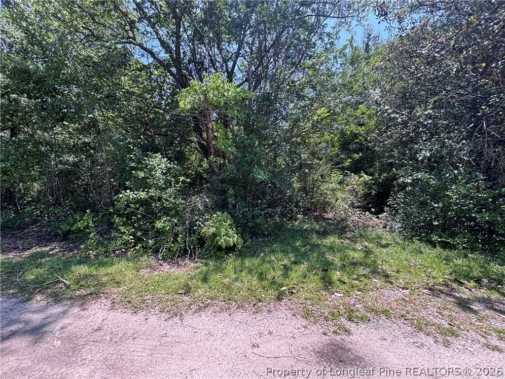 Doby Drive, Raeford, NC 28376 - #1