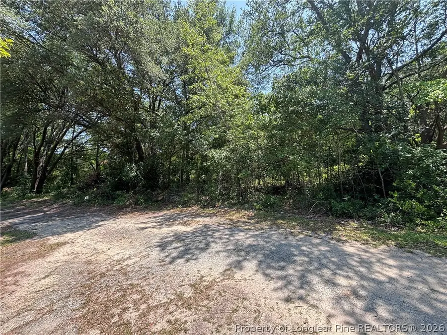 Doby Drive, Raeford, NC 28376 - #3