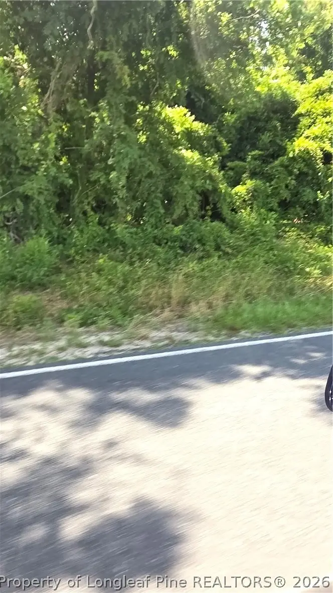 Lakewood School Road, Salemburg, NC 28385 - #1