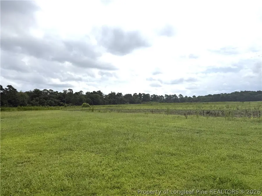 4107 Twisted Hickory Road, Elizabethtown, NC 28337 - #3