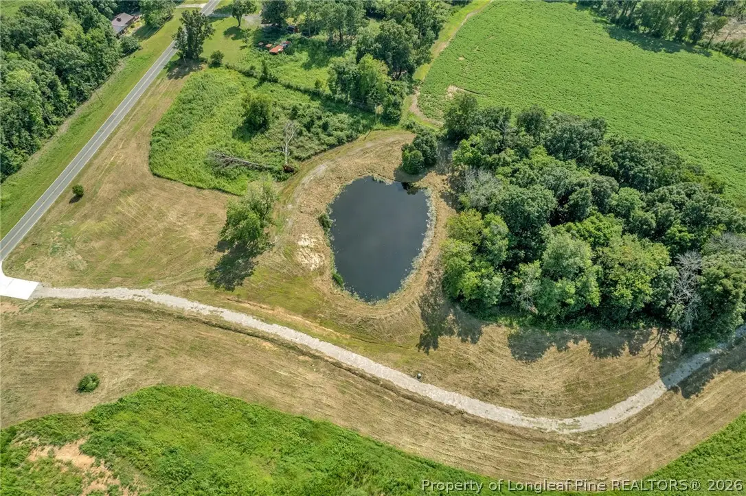 00 Laia Hills (lot 1) Road, Siler City, NC 27344 - #1