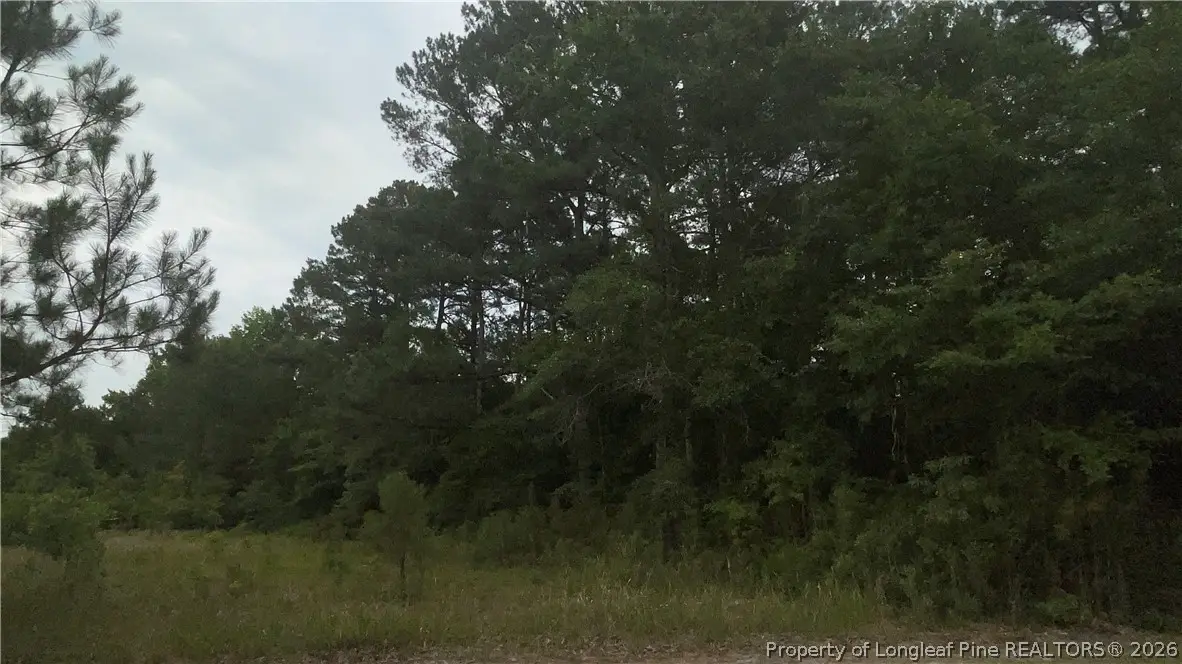 Sanderosa (0477-78-9254) Road, Fayetteville, NC 28312 - #1