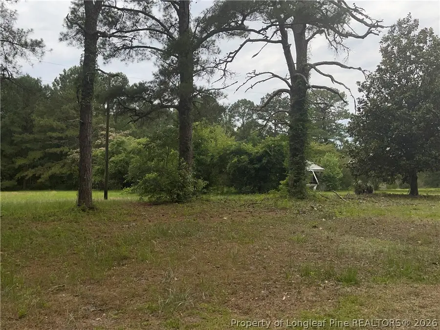 Sanderosa (0477-78-9254) Road, Fayetteville, NC 28312 - #2