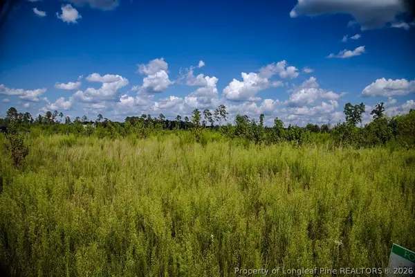 Tract 15 Mitchell Road, Fairmont, NC 28340