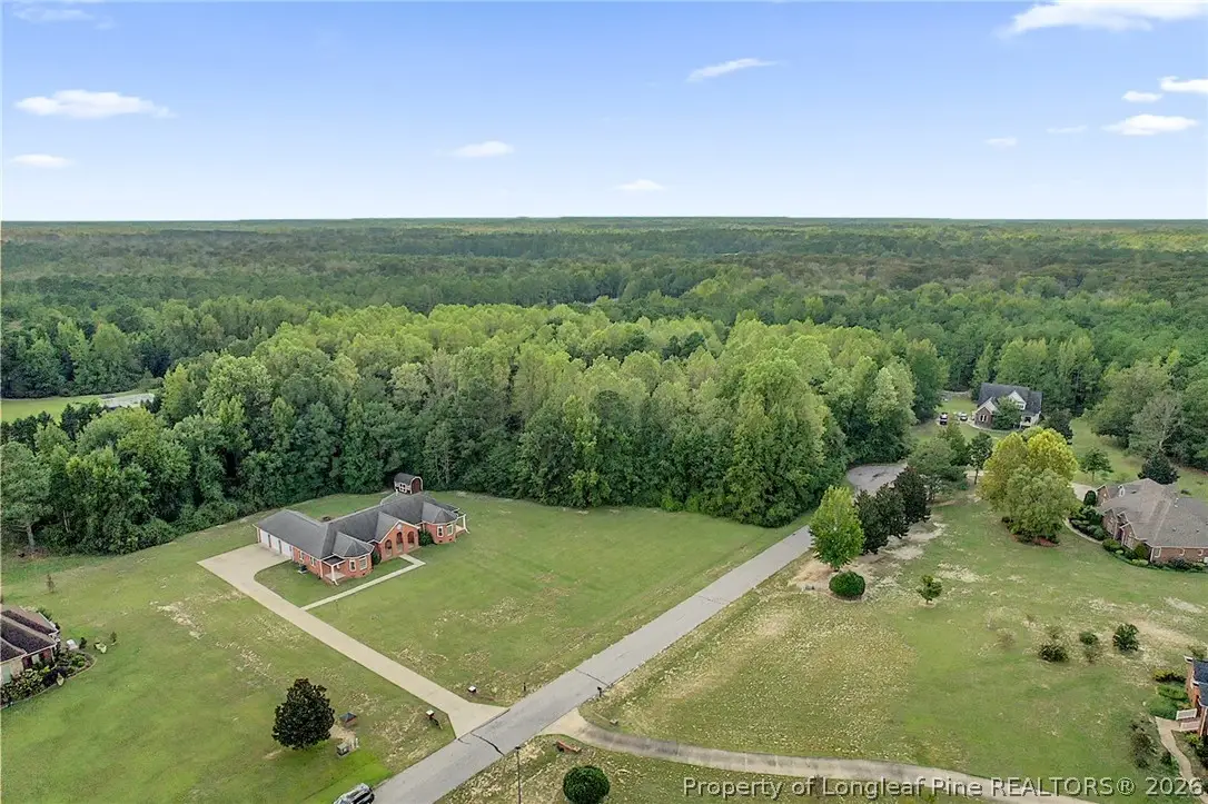 251 Water Ridge Lane, Stedman, NC 28391 - #1