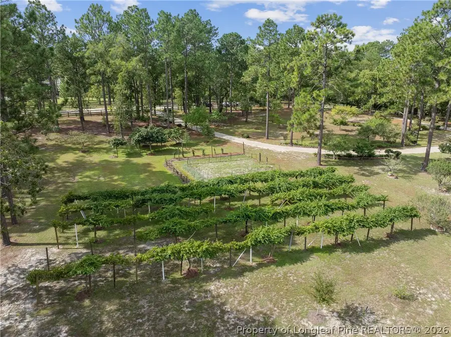 242 Jody Lane, Raeford, NC 28376 - #2
