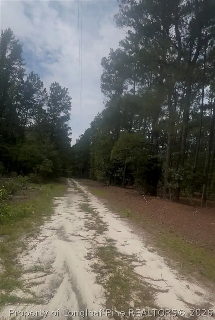 Higgins Lane, Raeford, NC 28376 - #2