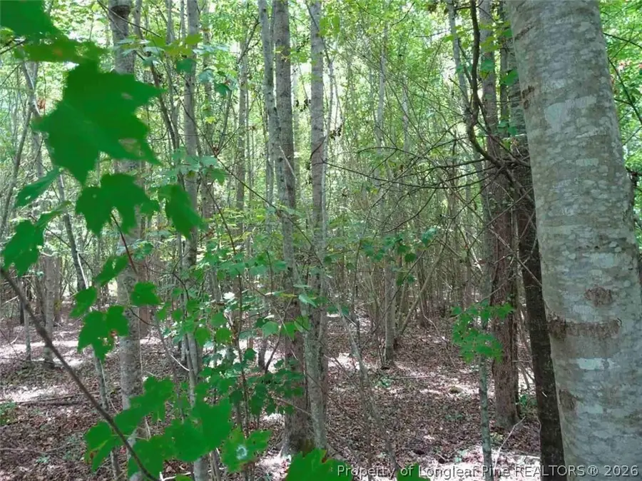 000 Giles Road, Linden, NC 28356 - #3