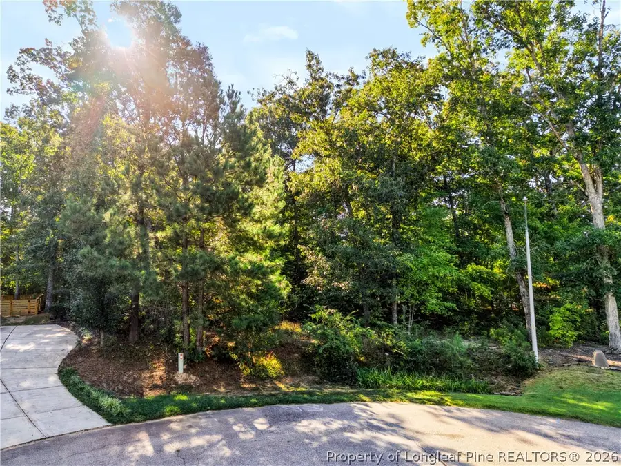 tbd Panners Place, Sanford, NC 27330 - #3
