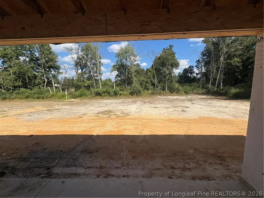1120 Wallace Mclean Road, Raeford, NC 28376 - #3