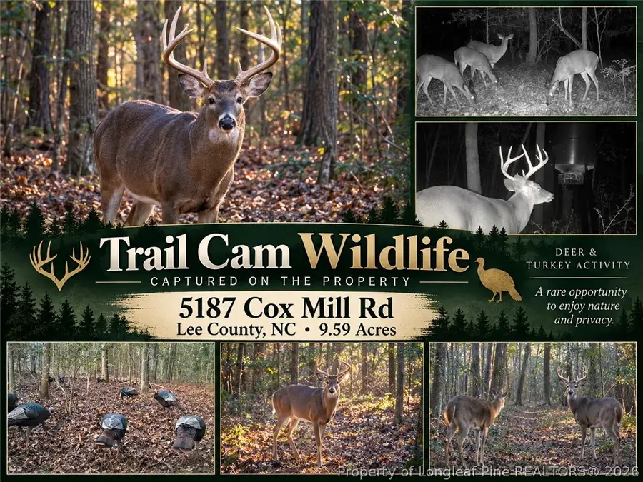 5187 Cox Mill Road, Sanford, NC 27332 - #2