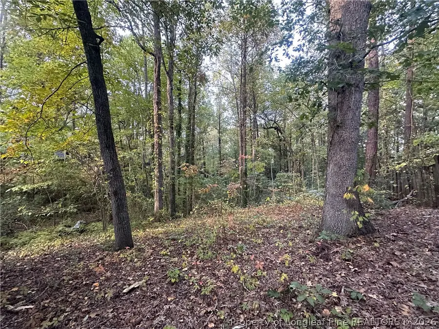 5908 Waters Edge Drive, Fayetteville, NC 28314 - #3