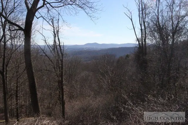 Lot 117 Point Lookout Lane, Independence, VA 24348 - Image #1