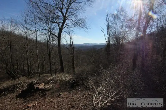 Lot 117 Point Lookout Lane, Independence, VA 24348 - Image #2
