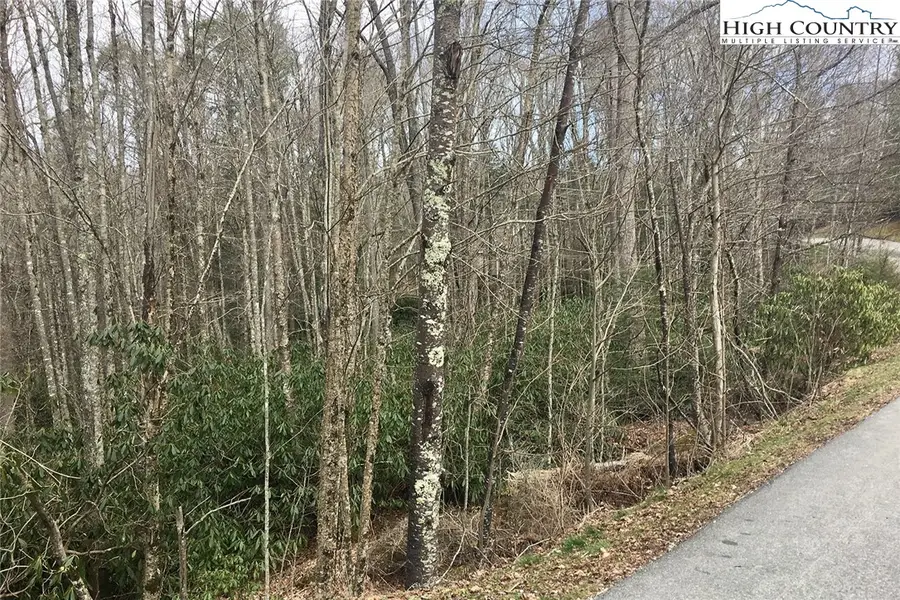 Lot 12 Oak Street, Linville, NC 28646 - Image #2
