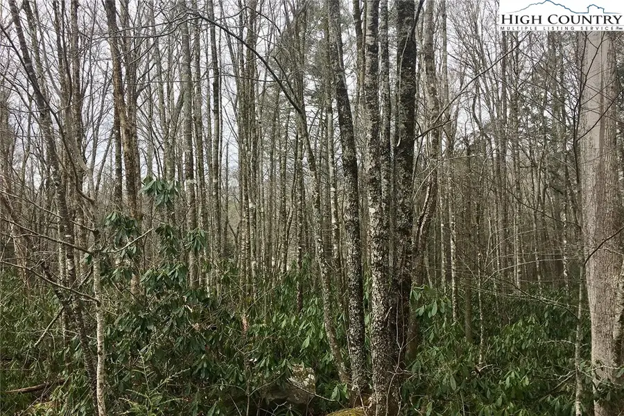 Lot 12 Oak Street, Linville, NC 28646 - Image #3