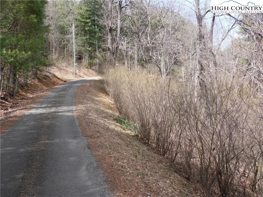 Lot #13A River Forest Road, Piney Creek, NC 28663 - Image #3